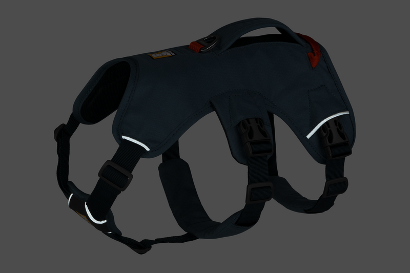 Ruffwear Web Master Harness - Slate Blue-4